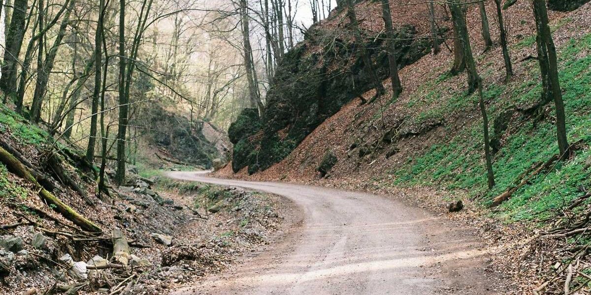 Do classic cars have a future