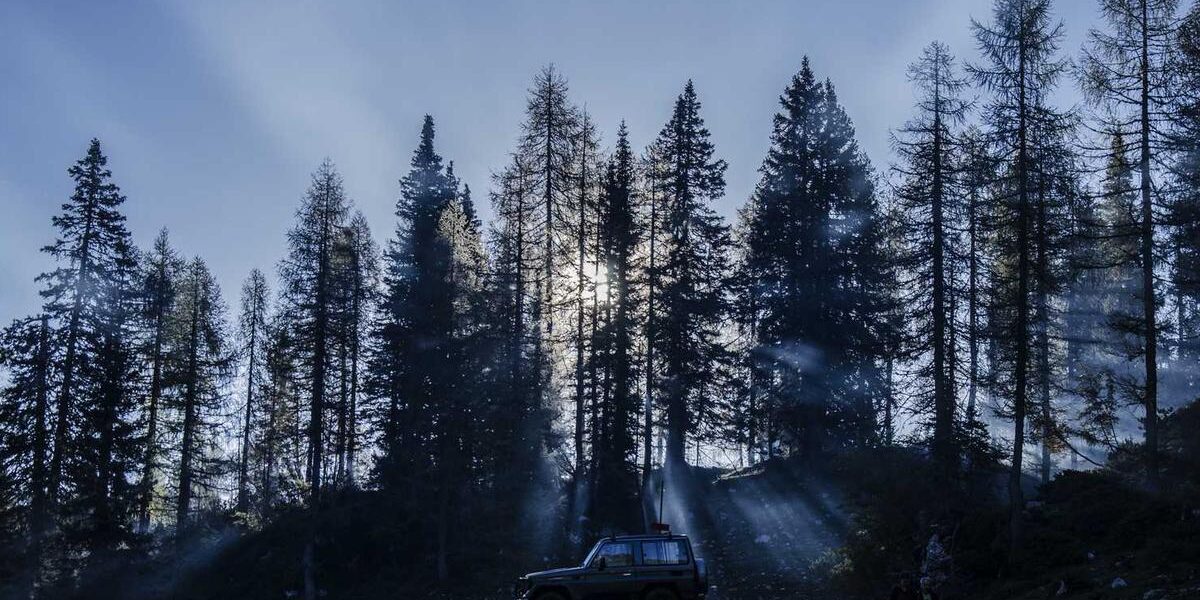 1974 Dodge Charger: A Classic Muscle Car Icon