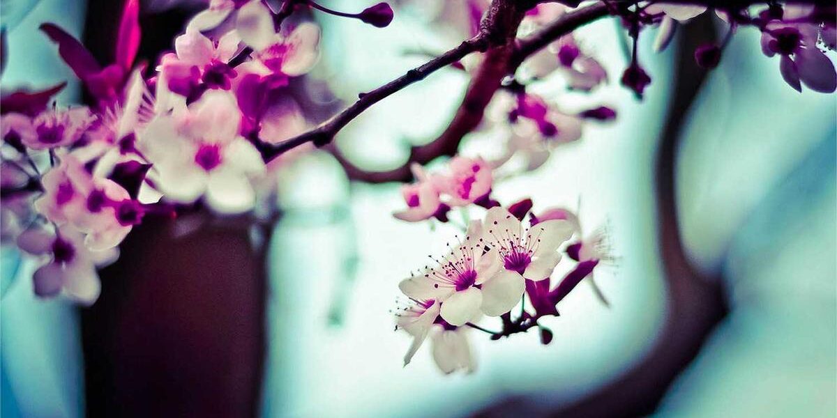 1964 Mercury Marauder: Classic Power Meets Timeless Elegance