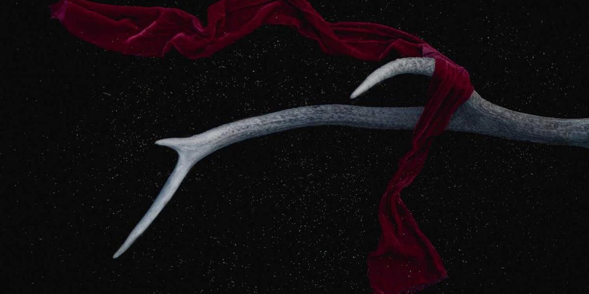 Discover the Versatile and Stylish Subaru Van Experience