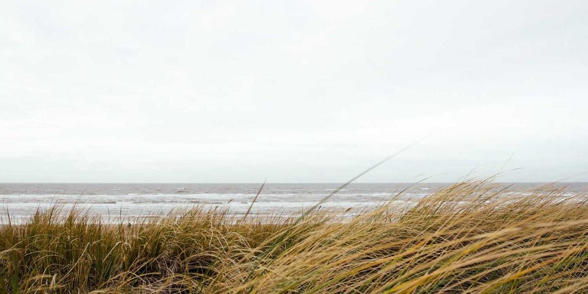 Excitement Awaits: Chrysler’s Carlisle 2024 Showcase